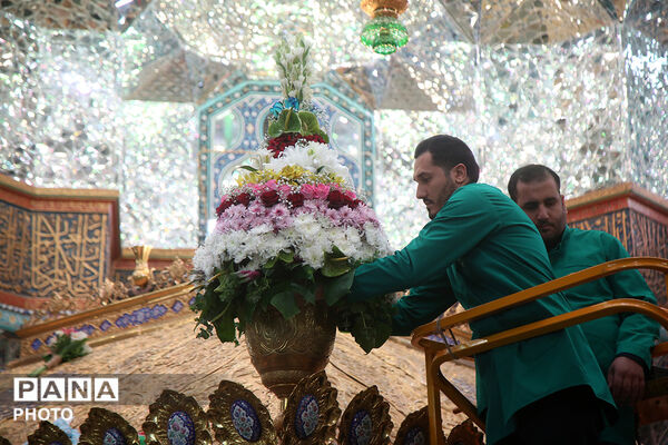 گل آرایی ضریح مطهر حضرت معصومه(س) در شب میلاد امام رضا(ع)