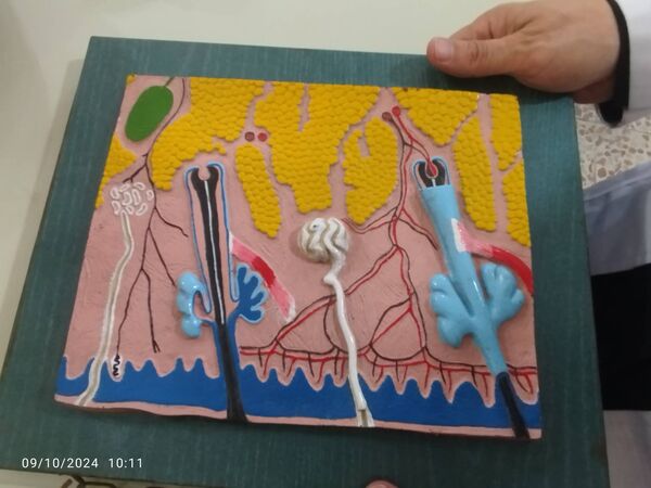 برگزاری کارگاه آموزشی مدرسه علوم تجربی ویژه دانش‌آموزان ابتدایی در پژوهشسرای دکتر حسابی شهرقدس