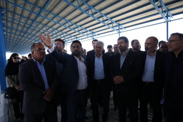 استاندار همدان از طرح گاوداری ۶۰۰۰ راسی شستا در ملایر بازدید کرد