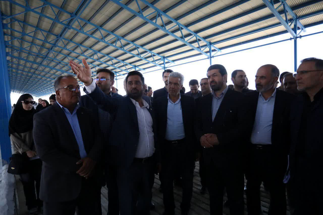 استاندار همدان از طرح گاوداری ۶۰۰۰ راسی شستا در ملایر بازدید کرد