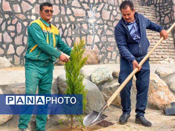 به یاد شهیدان  ترشیز کهن هزار و۲۲۲ نهال در بامشار  کاشمر کاشته شد