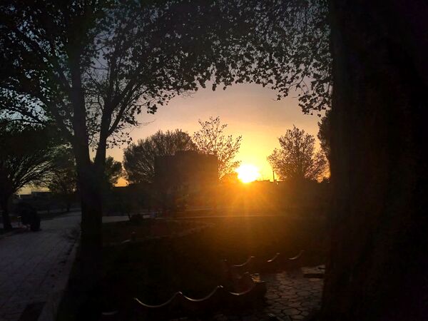 فصل بهار؛ آغاز پادشاهی سبزه و گل‌ها بر شهرستان بروجن