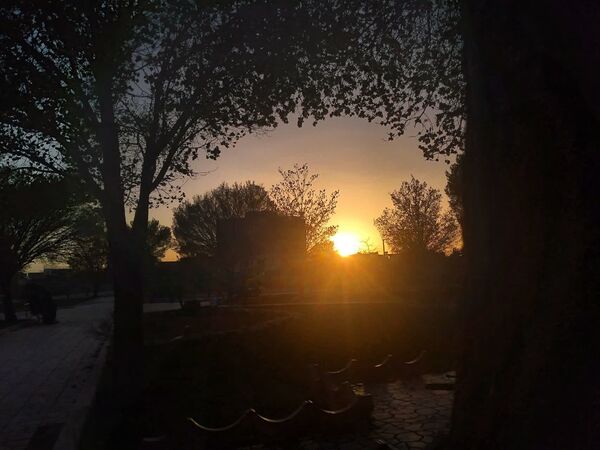 فصل بهار؛ آغاز پادشاهی سبزه و گل‌ها بر شهرستان بروجن