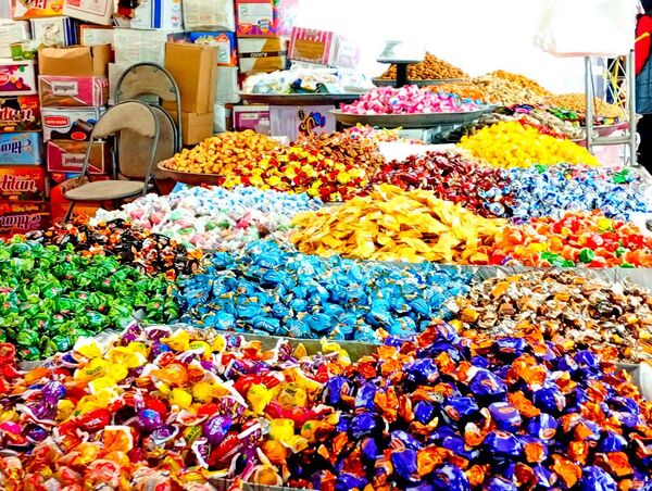 برپایی نمایشگاه بهاره در کاشمر