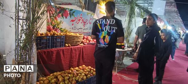 جشنواره انار تفت
