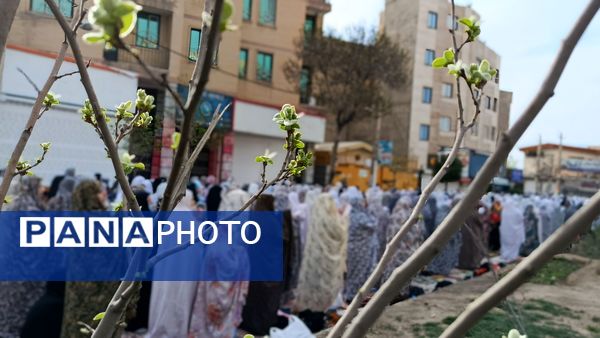 تجلی وحدت و همدلی در صفوف نماز عید فطر ملارد