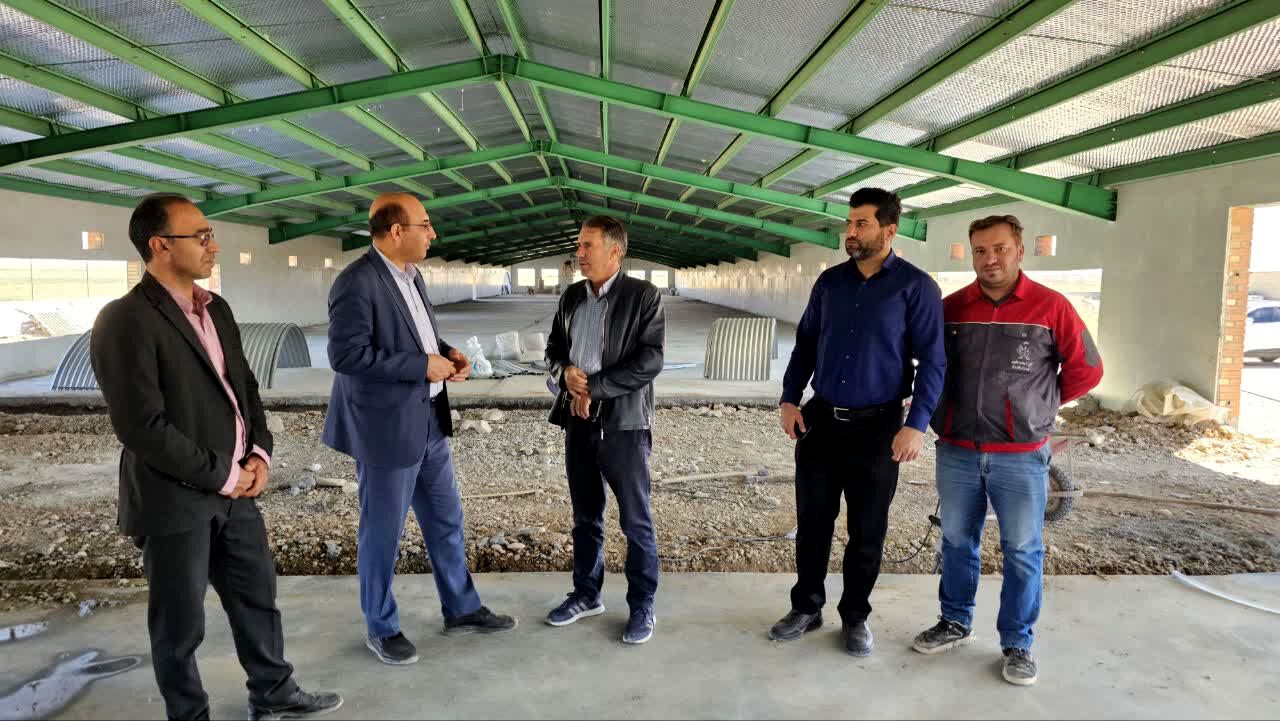 بازدید از واحد پرورش مرغ گوشتی صنعتی شرکت دام و صنعت چمنزار فاروج