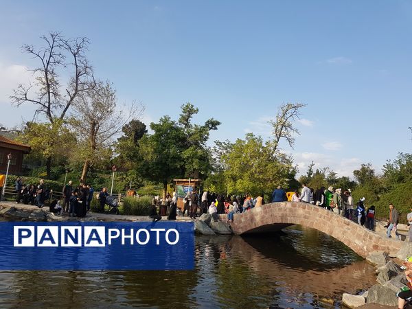 اردیبهشت زیبای باغ گیاهشناسی مشهد