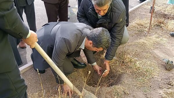 مراسم درخت‌کاری در زنجان