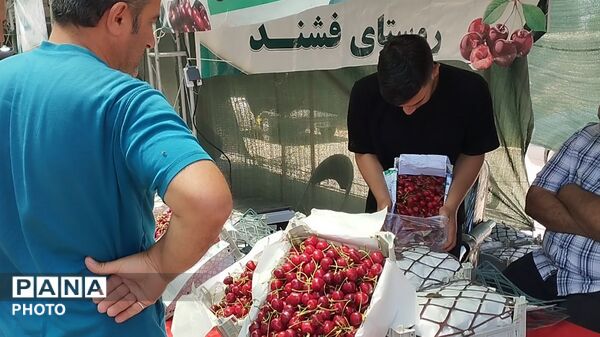 ششمین دوره بازارچه گیلاس و صنایع دستی روستای فشند ساوجبلاغ 