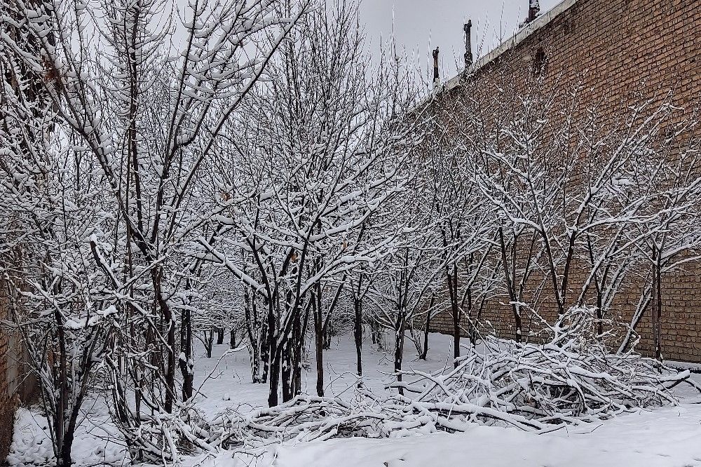 آسمان سخاوتمندانه نعمتش را در ماه شعبان به زمین شهر بار هدیه کرد