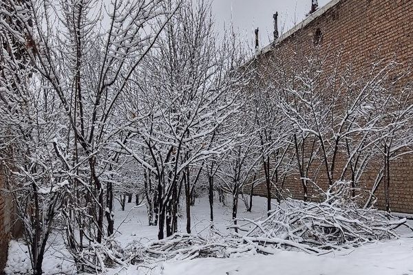 آسمان سخاوتمندانه نعمتش را در ماه شعبان به زمین شهر بار هدیه کرد