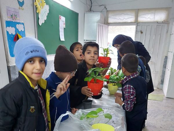 کاشت گل و گیاه در دبستان پسرانه حاج محمد عجب شیر