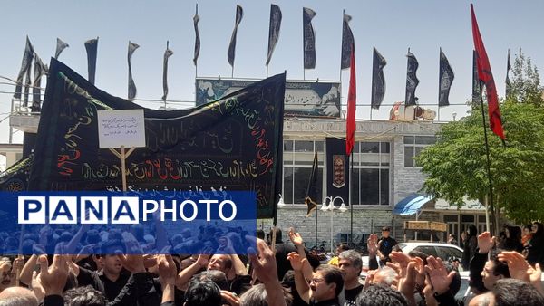 روز هشتم محرم دسته روی هیئت جانثاران ابوالفضلی روستای فدافن