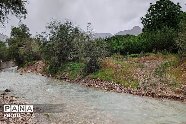 آلبوم تصویری از طبیعت زیبای شهر بار در اردیبهشت‌ماه  ۱۴۰۵ـ۲