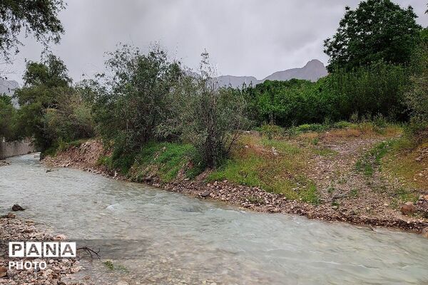 آلبوم تصویری از طبیعت زیبای شهر بار در اردیبهشت‌ماه  ۱۴۰۵ـ۲