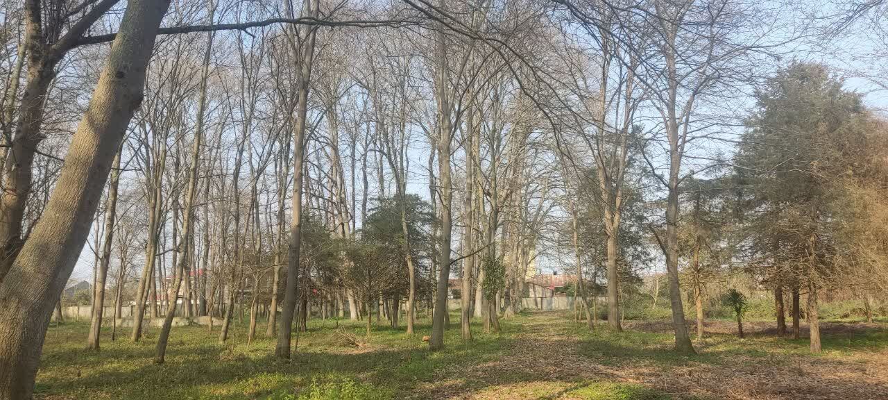 پروژه‌های تحقیقاتی بر این پایه اصول علمی باشد تا برای بهره‌برداران ثمربخش باشد