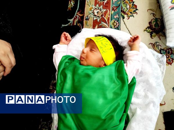 مجمع جهانی شیرخوارگان حسینی در کاشمر 