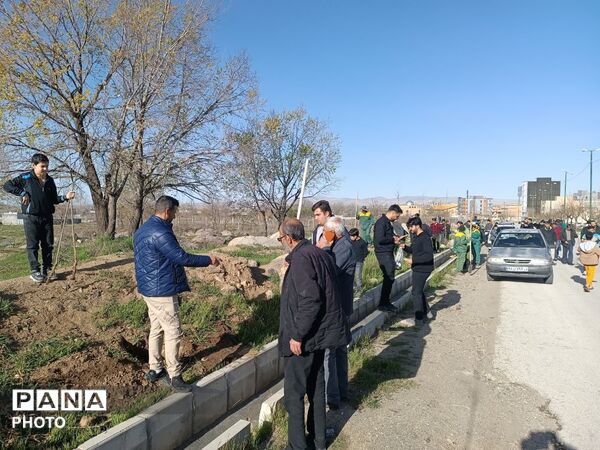 کاشت نهال امید در مریانج؛ ادای احترام به امام شهید و شهدای میناب