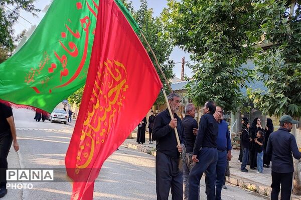 ارادت مردم در روز تاسوعای حسینی با برگزاری هئیت عزاداری به ابوالفضل عباس  
