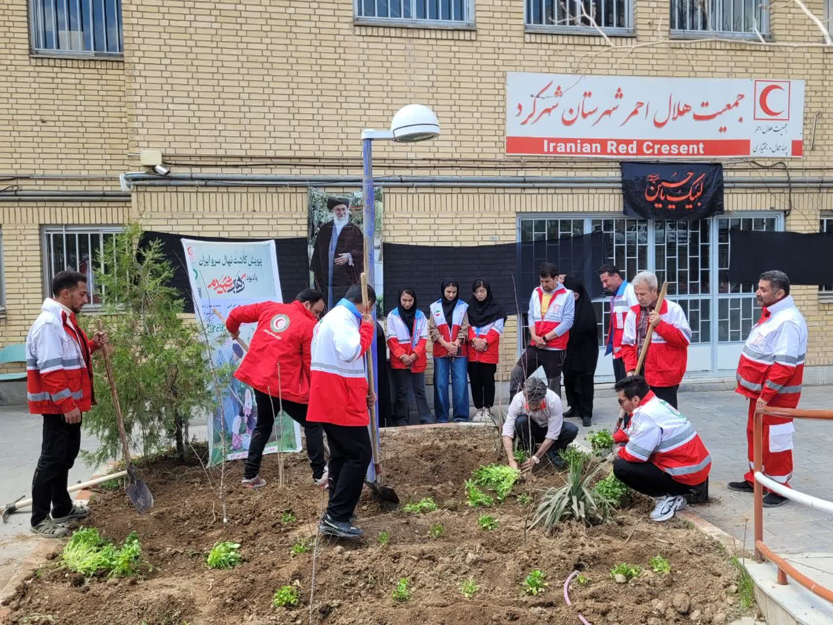 درختکاری؛ اجرای امر رهبر به یاد فرزندان میناب
