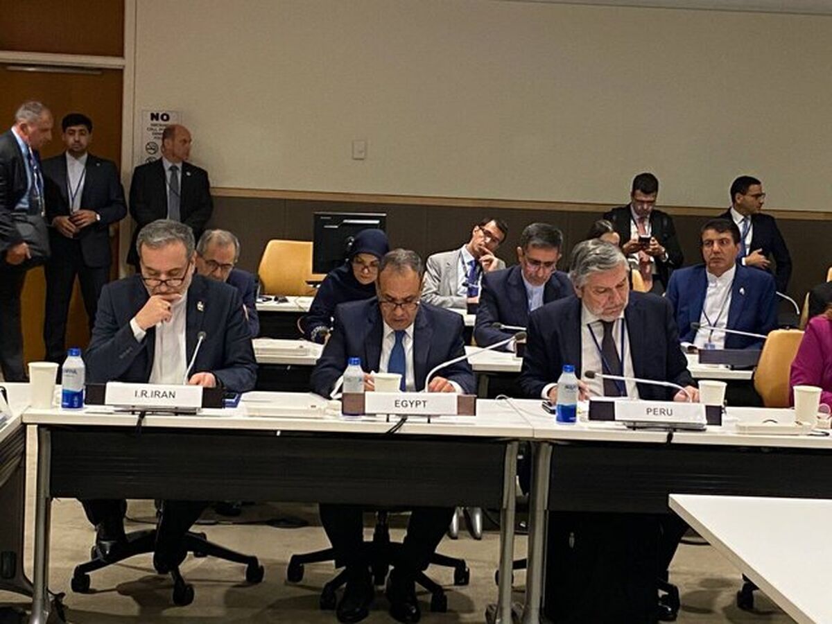 عراقچی: باید تمامی اموال فرهنگی غارت‌شده کشورها،به صاحبان حقیقی خود بازگردانده شوند