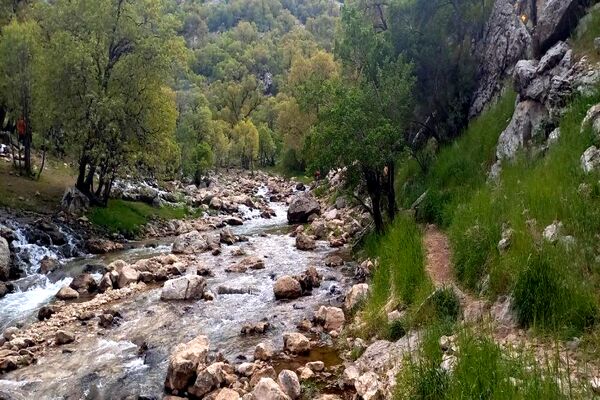 جلوه‌های بهاری طبیعت یاسوج
