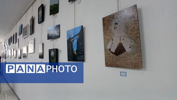 نمایشگاه آثار هنرهای تجسمی در ساری