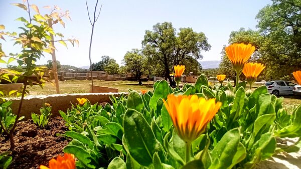 مسیر قارون تا قلعه مدرسه در واپسین لحظه‌های بهار