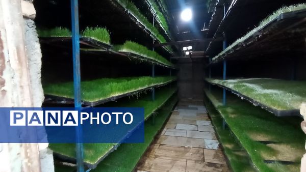 اردو راهیان پیشرفت در خلیل آباد