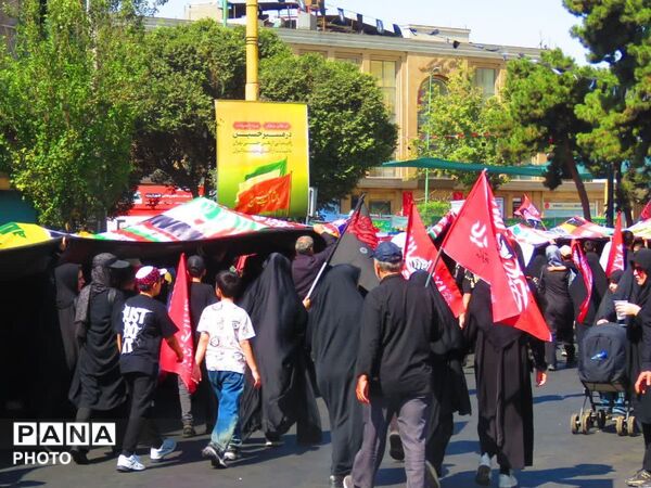 نبض دلتنگی در مسیر عاشقی