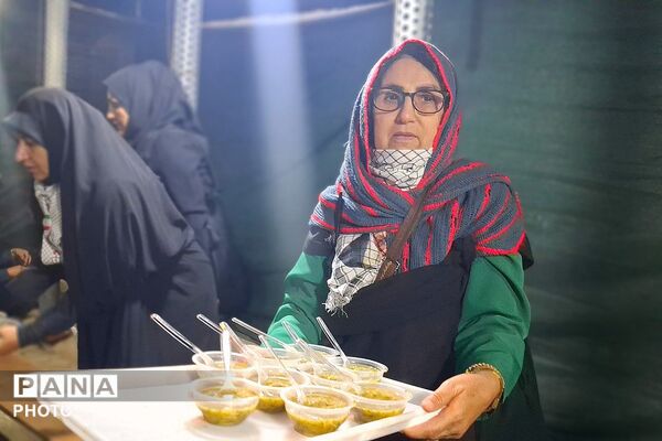 شب حماسی دیگر از شور و خروش مردمان باشتی در بیست و نهمین شب مقاومت