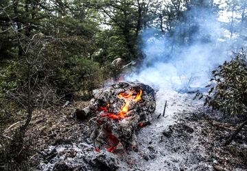 آتش را در طبیعت نیمه‌ خاموش رها نکنید