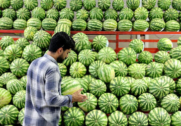 تغییر ساعات میادین و بازارهای میوه و تره‌بار به مناسبت شب یلدا