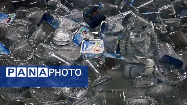 لحظه‌های ناب عاشقی در مشایه اربعین 