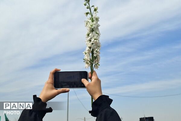 تشییع پیکر مطهر شهدای وطن در گلزار شهدای شهرستان ملارد
