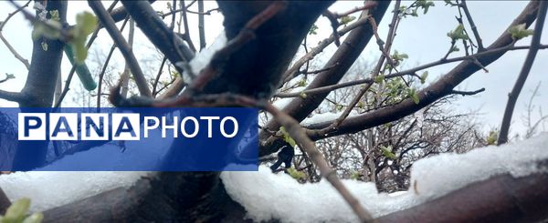 زمستان در بهار روستای استای تایباد