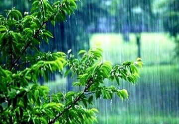 باران رحمت؛ قطره‌هایی از جنس امید و زندگی