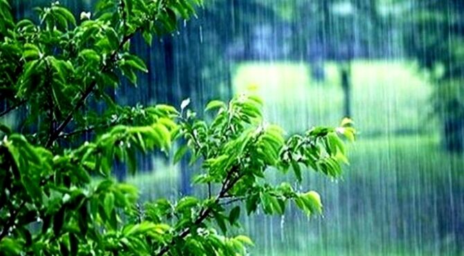 باران رحمت؛ قطره‌هایی از جنس امید و زندگی