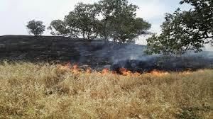 ایجاد سالانه ۱۰۰ هکتار آتش‌بر در اراضی همدان