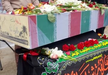 نخل‌ها ایستاده می‌میرند