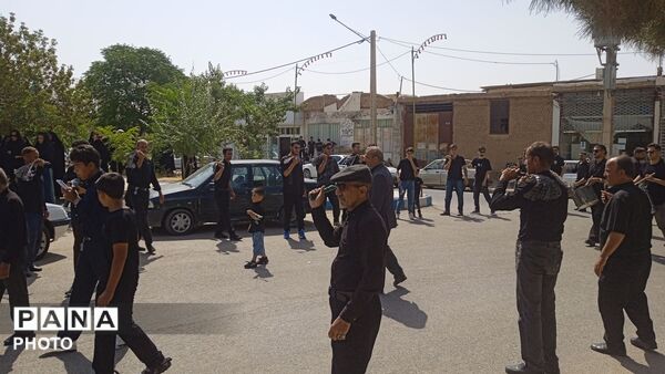 نخل گردانی در روستای فدافن،تاسوعایی به یادگار از کربلا 
