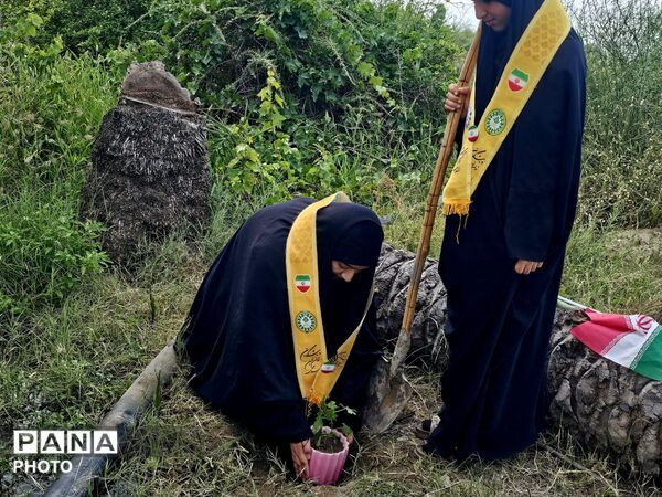 کاشت نهال به یاد دانش‌آموزان شهید مدرسه شجره طیبه میناب در سندرک