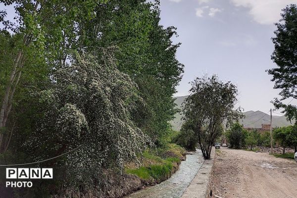 آلبوم تصویری از طبیعت زیبای شهر بار در اردیبهشت‌ماه  ۱۴۰۵ـ۲