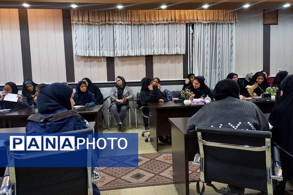 توانمندسازی همیار مشاوران مدارس ناحیه ۳ شیراز