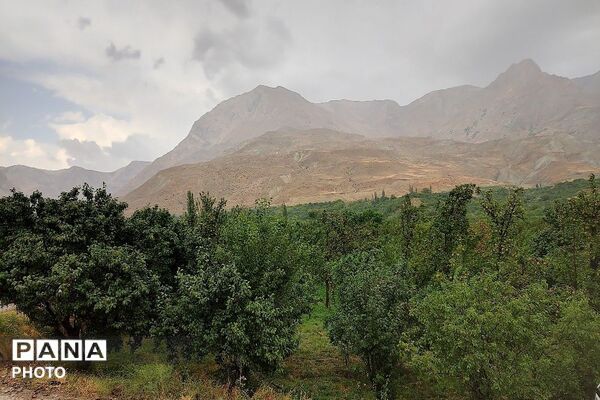 بارش غیر منتظره باران در تابستان ۱۴۰۵شهر بار نیشابور
