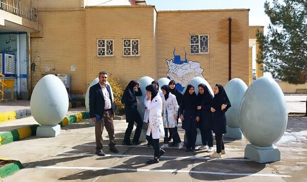 تخم‌مرغ‌های رنگی به پیشواز بهار رفتند