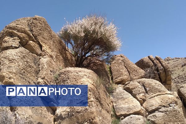 سیزده بدر، نقاشی رنگارنگ طبیعت را بر بوم تصاویر رقم زد