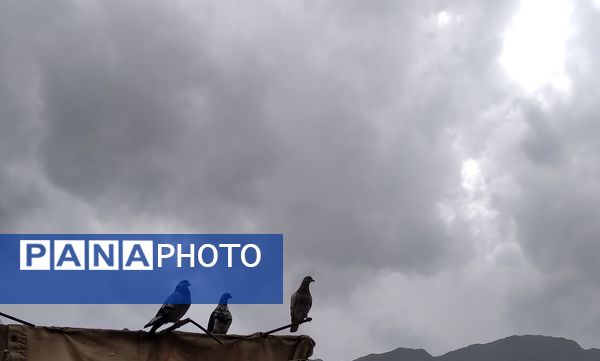 باران بهاری؛ ملودی زندگی در بستر طبیعت