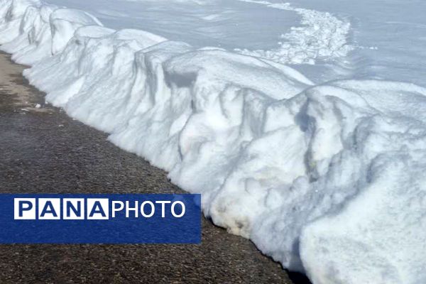 قابِ سفیدِ زمستان فـیـروزکــوه